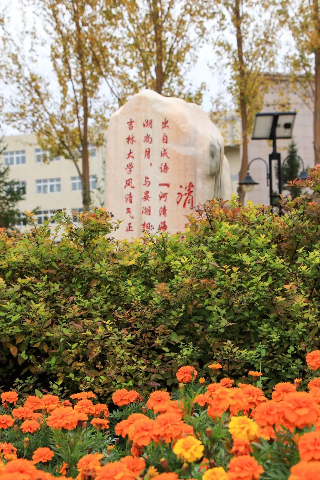 刻苦训练篮球时如何避免受伤的建议_1
